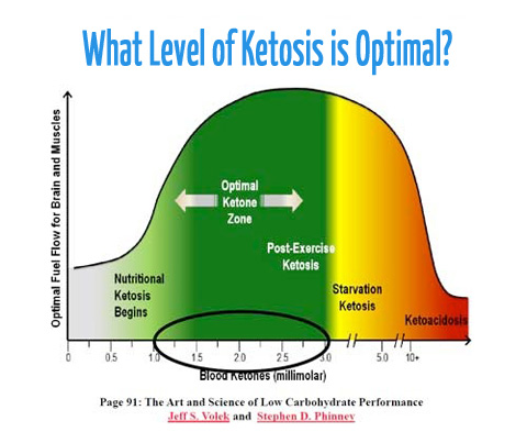 ketosistix_graph