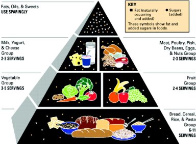 Image result for food pyramid fda