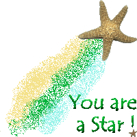 You%20are%20a%20star%20(2017_08_30%2018_22_20%20UTC)