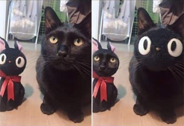 FaceSwap