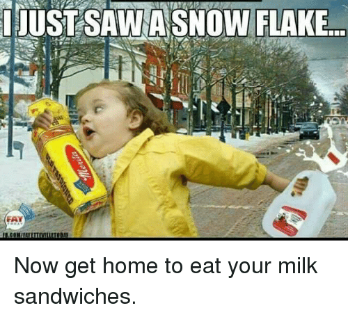 ijust-sawa-snow-flake-now-get-home-to-eat-your-8918033