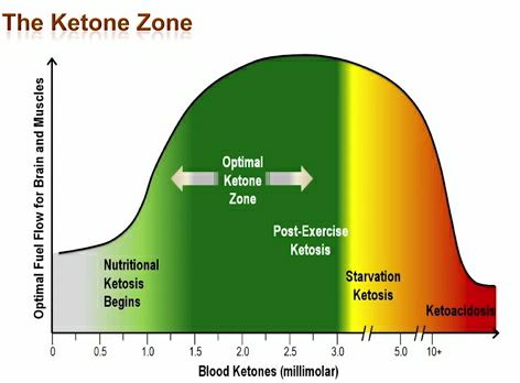 ketone zone