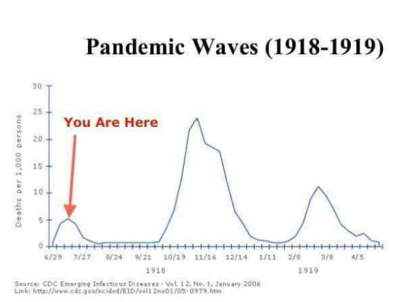 PandemicWaves