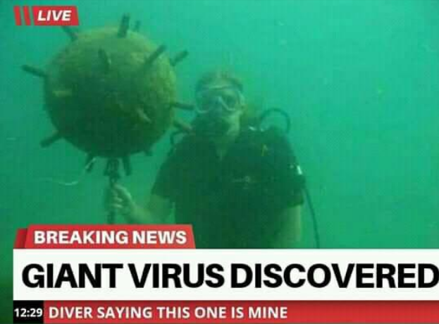 GiantVirus