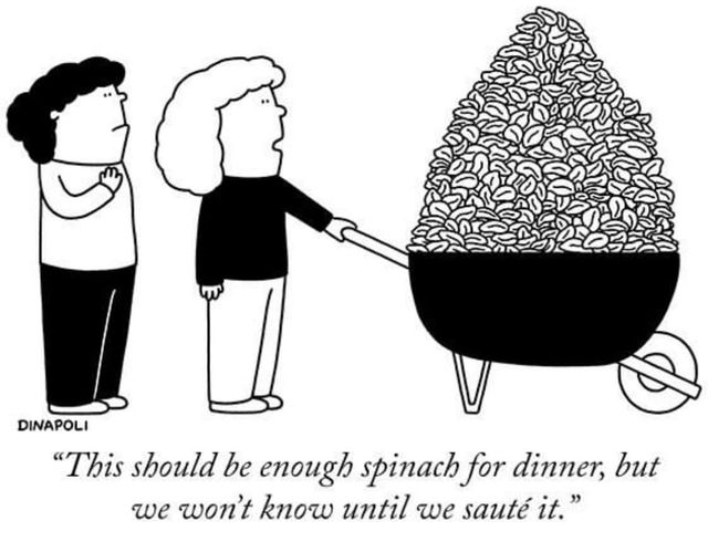 how%20much%20spinach%20cartoon