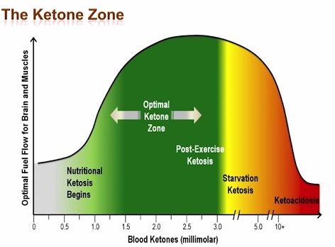 Keto Mojo Ketone Chart